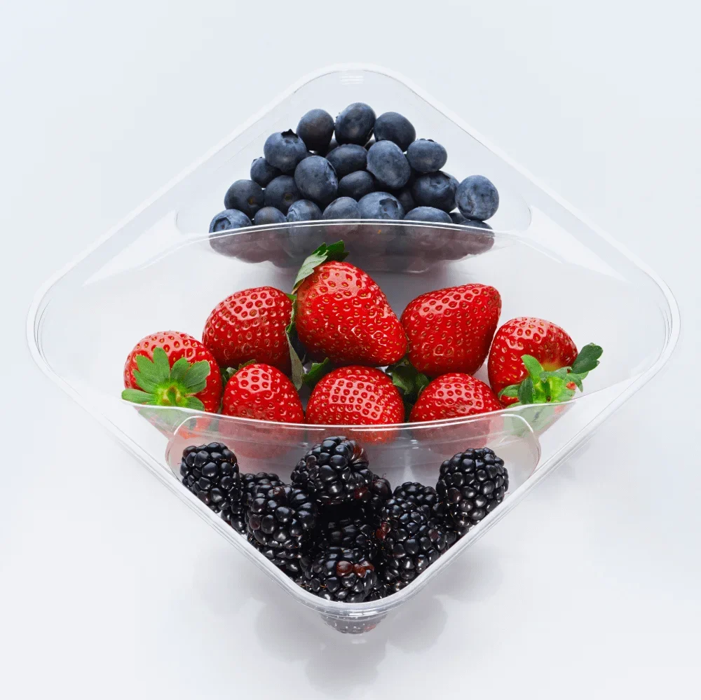 Contenitore di plastica con mirtilli, fragole e frutti di bosco